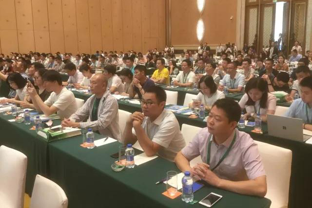 2024澳门赤兔原料