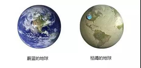 2024澳门赤兔原料